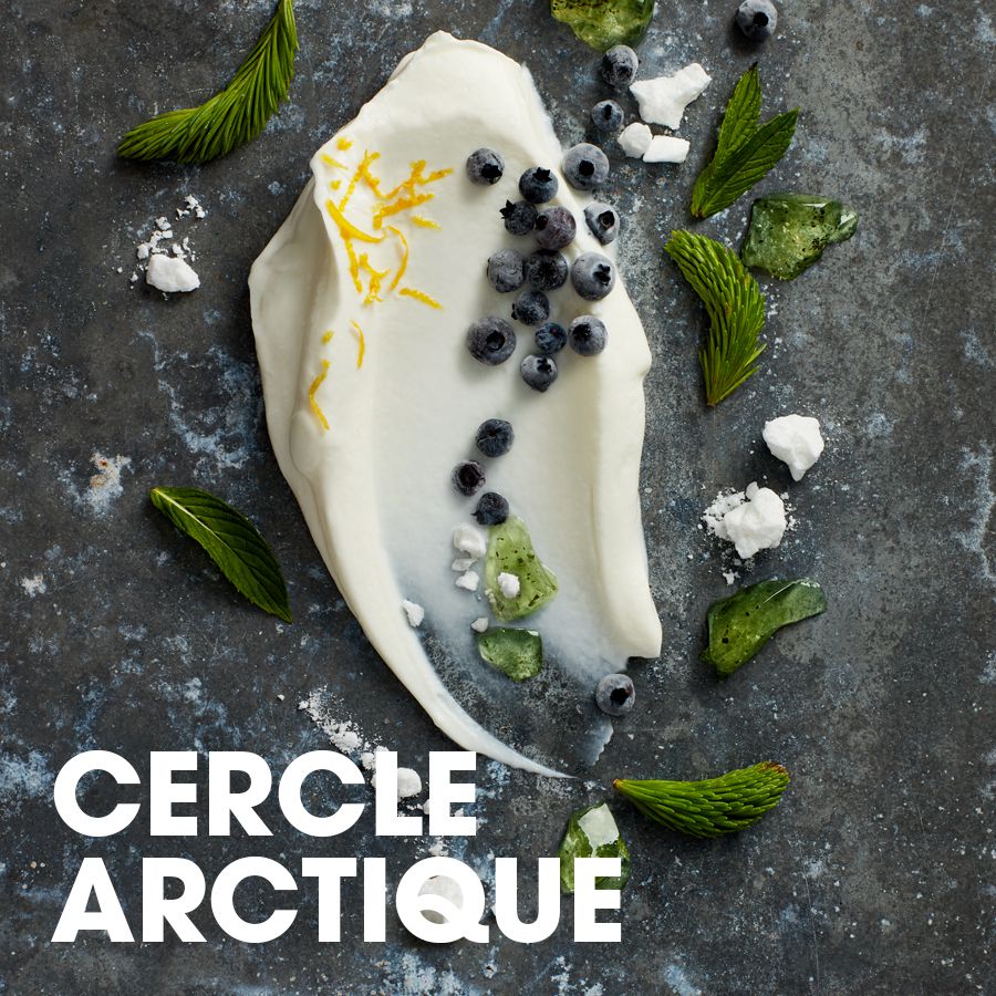 Cercle arctique